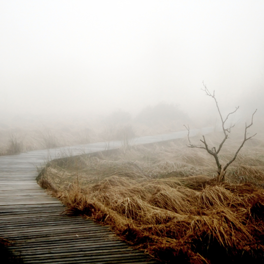 HOE HEET DAT? JE WEET WEL