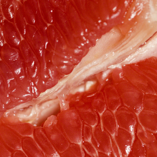 JE SEKSLEVEN IN DE OVERGANG